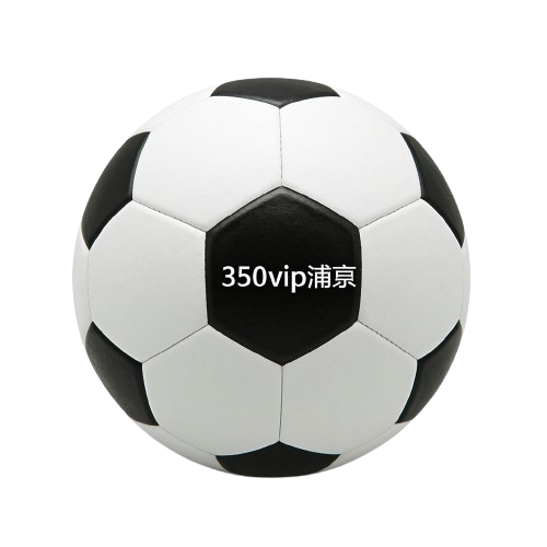 2026世界杯官网入口